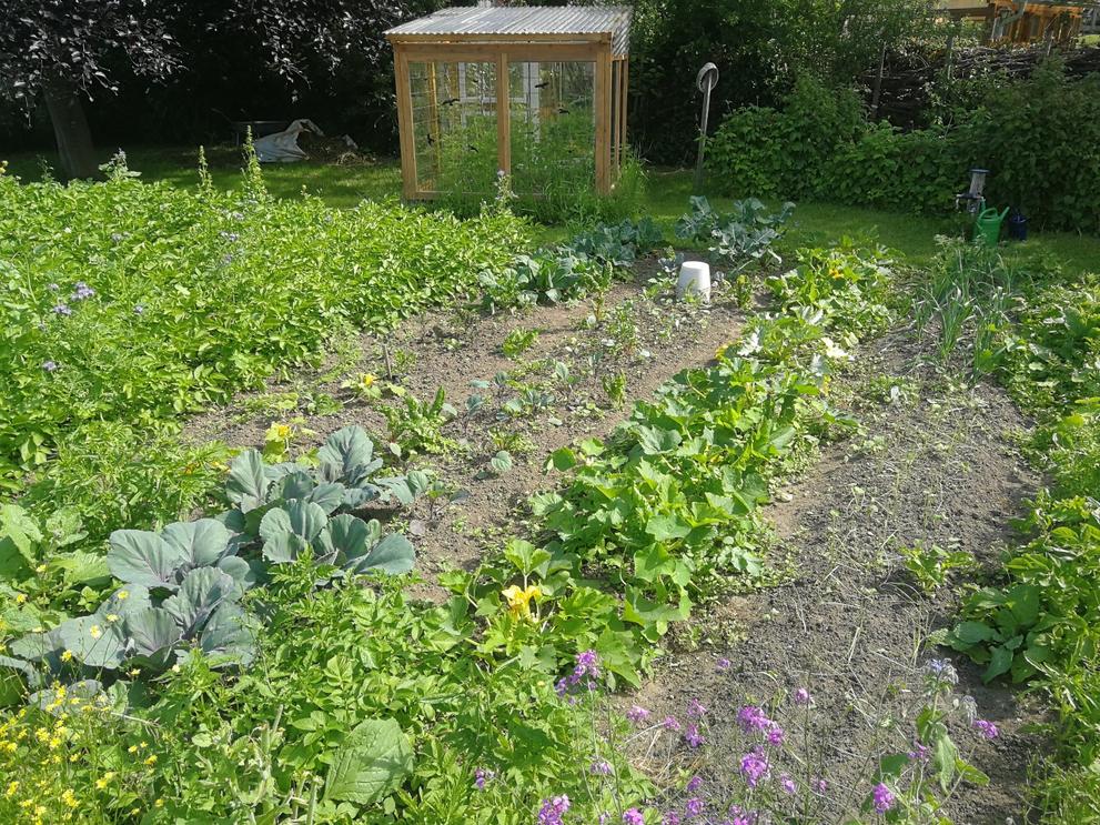WPVZ Project Image