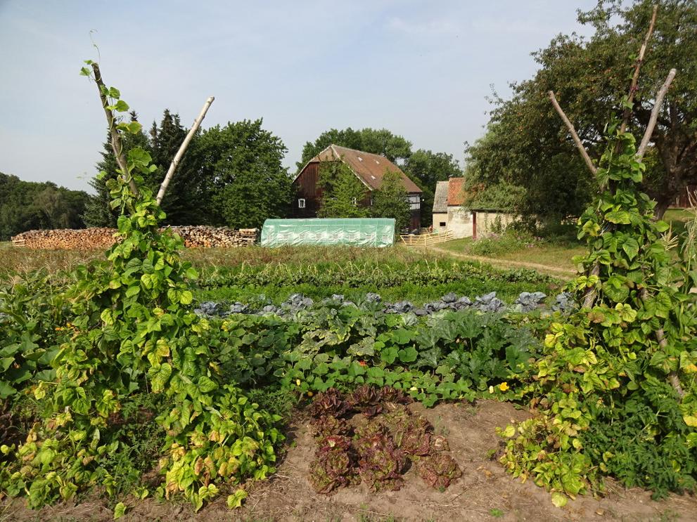 WPVZ Project Image