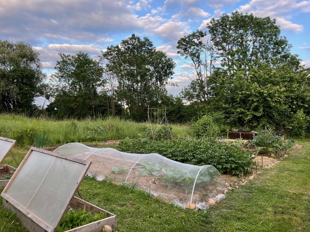 WPVZ Project Image