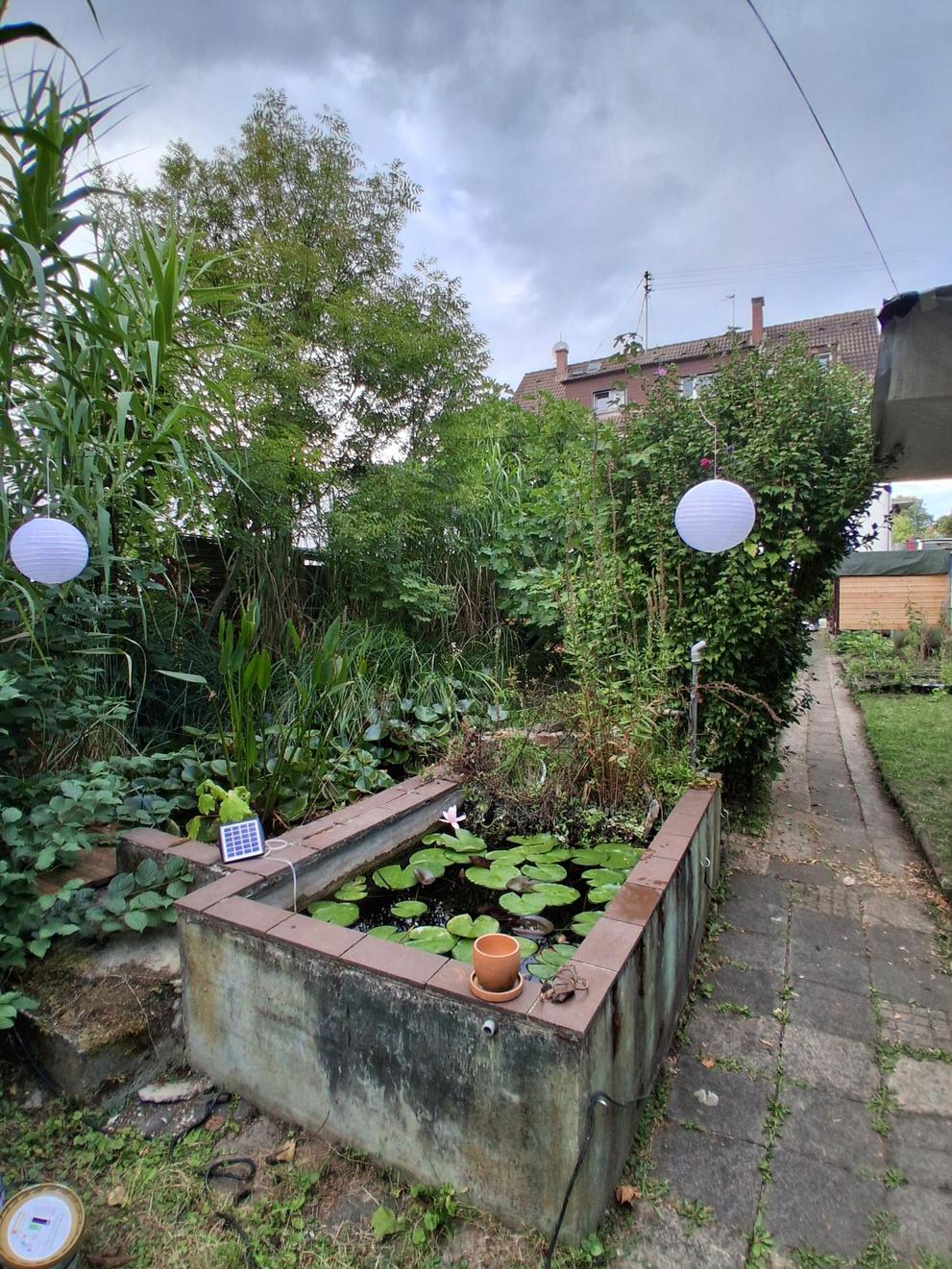 WPVZ Project Image