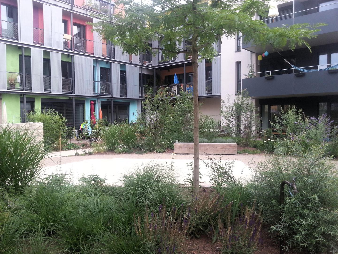 Gemeinschaftlicher Innenhof der Alten Weberei Tübingen: ein kleiner Innenhof mit Begrünung, umrahmt von mehrgeschossigen Gebäuden